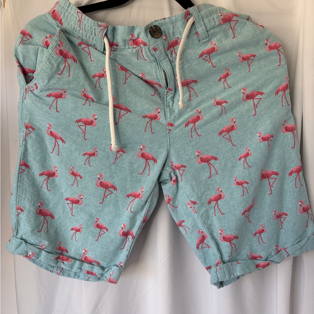 Urban Heritage Aqua Shorts with Pink Flamingo Print